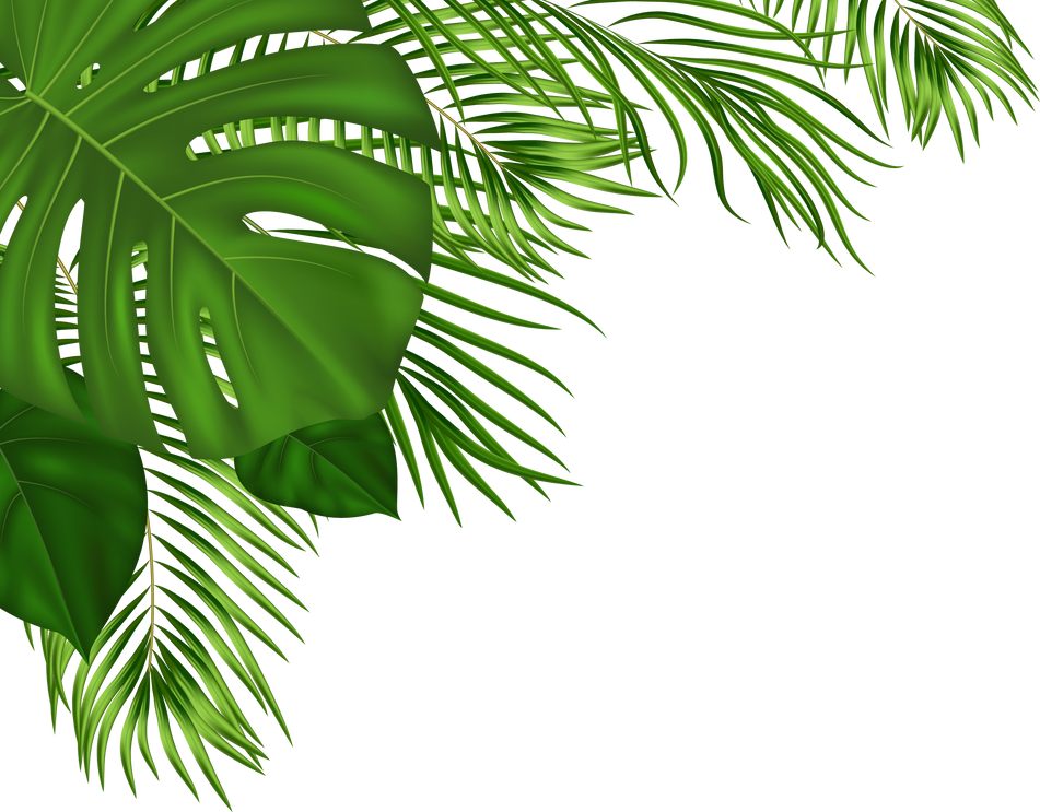 Summer Tropical Background with Green Palm Leaves